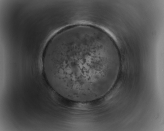 X0000093131271200710031345