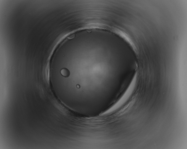 X0000093131275200710031345