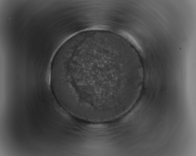 X0000093131276200710031345