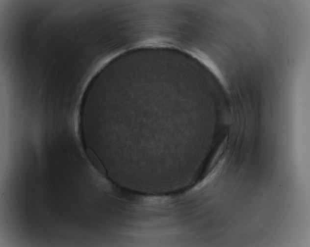 X0000093131277200710031345