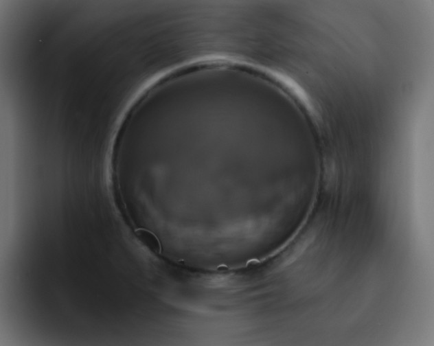 X0000093131279200710031345