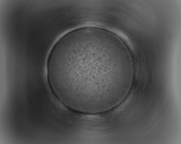 X0000093131280200710031345