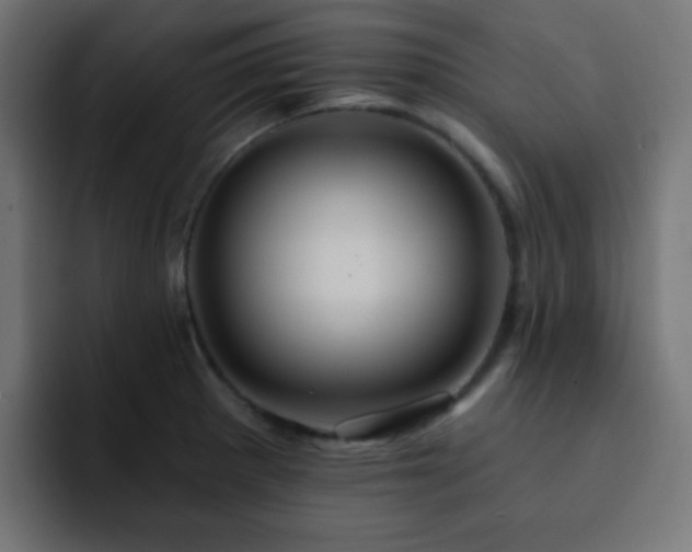 X0000093131281200710031345