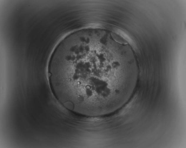 X0000093131283200710031345