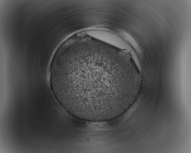 X0000093131284200710031345