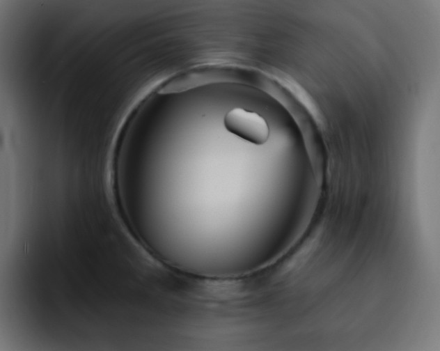 X0000093131285200710031345