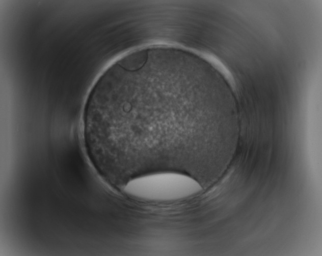 X0000093131287200710031345