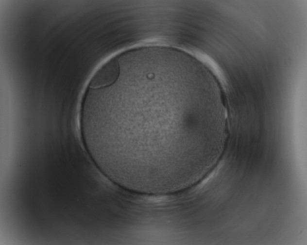 X0000093131288200710031345