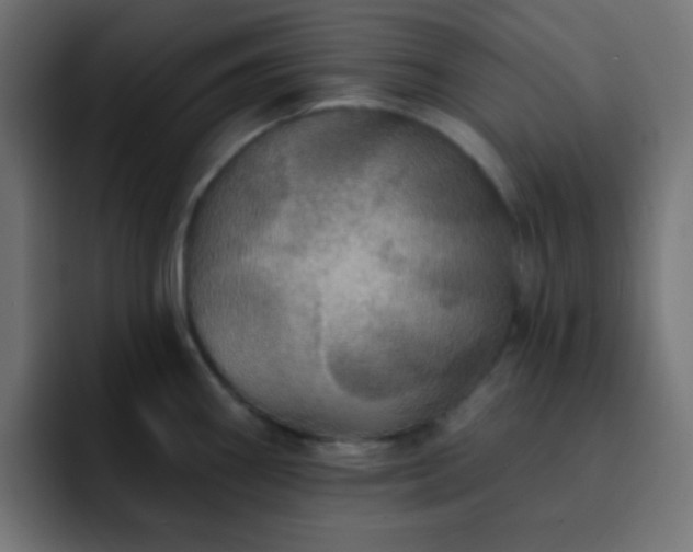 X0000093131290200710031345
