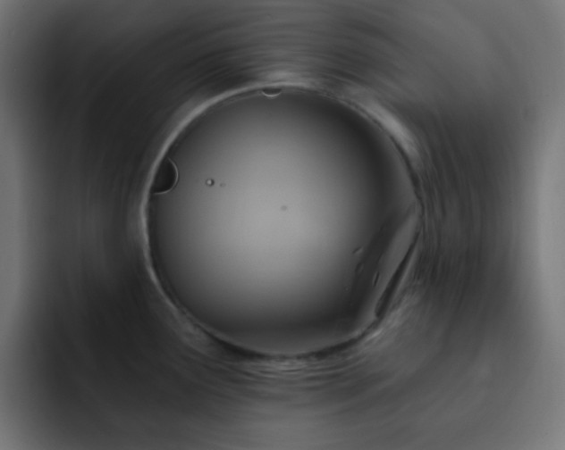 X0000093131291200710031345
