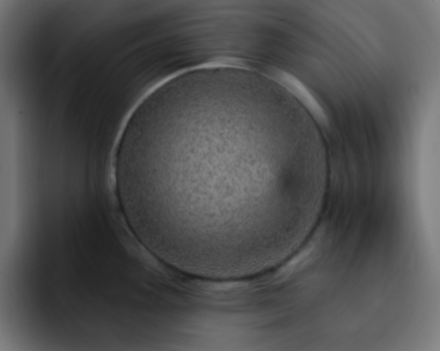 X0000093131292200710031345