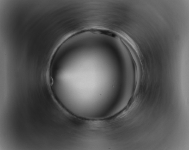 X0000093131293200710031345