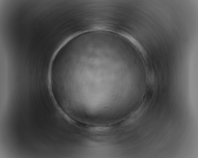X0000093131294200710031345