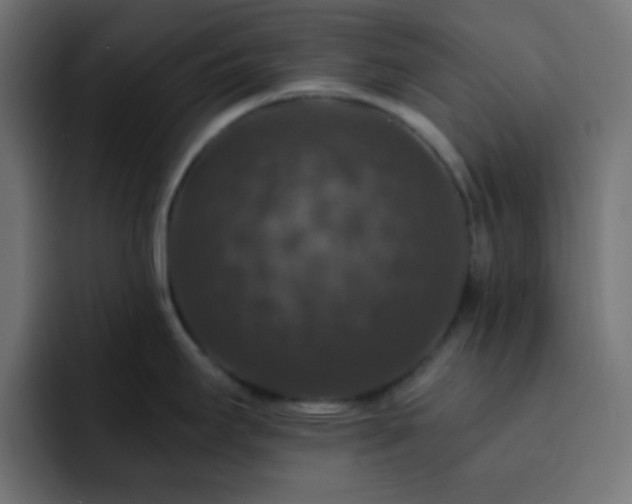 X0000093131295200710031345