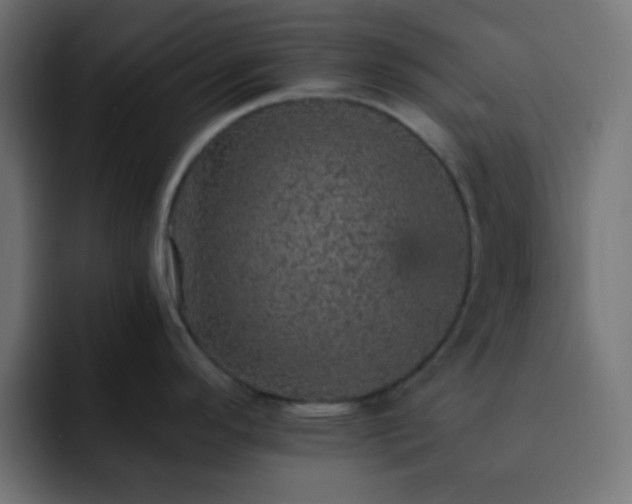 X0000093131296200710031345