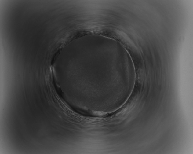 X0000093131298200710031344