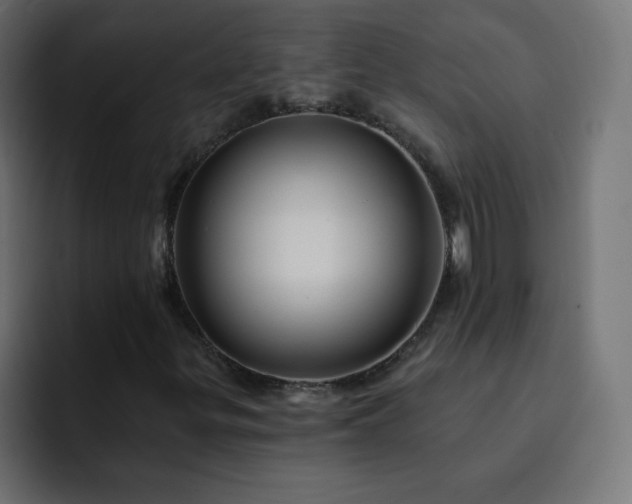 X0000093131299200710031344