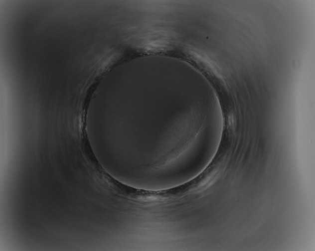 X0000093131300200710031344