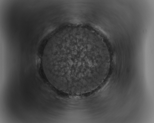 X0000093131302200710031344