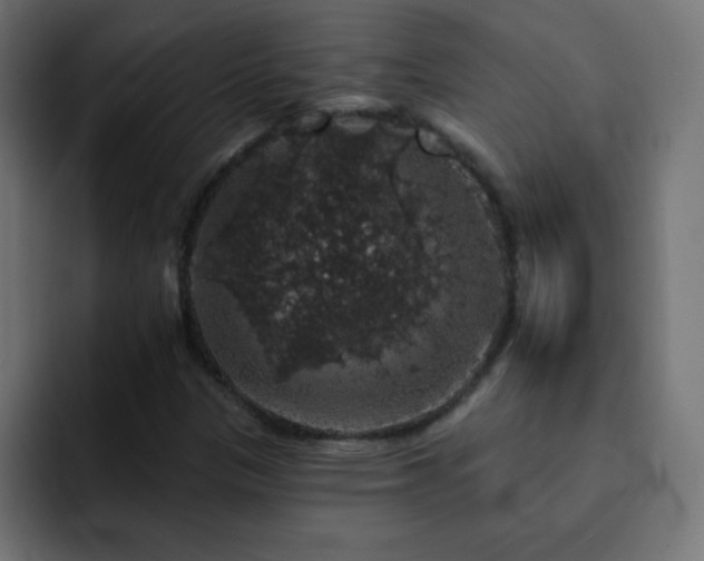X0000093131305200710031344