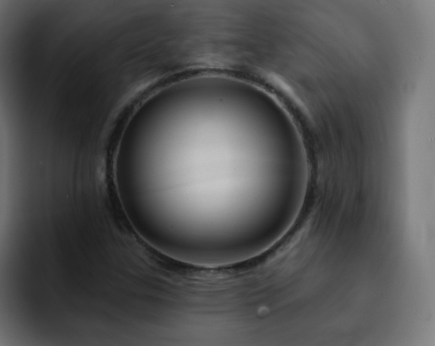 X0000093131307200710031344