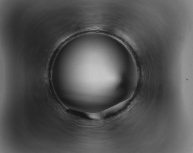 X0000093131308200710031344
