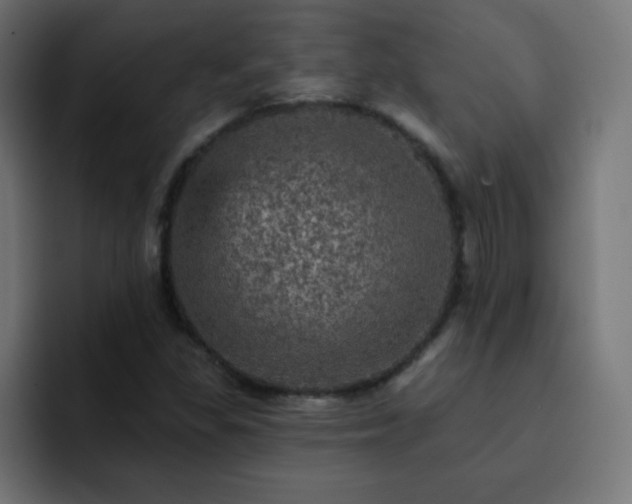 X0000093131309200710031344