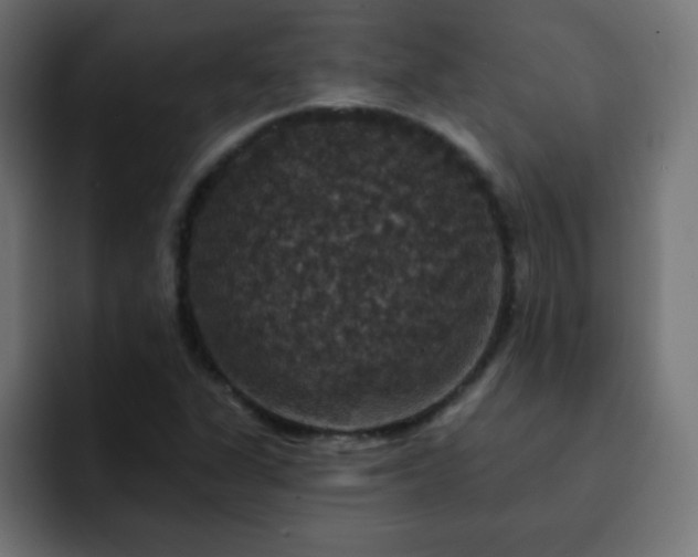 X0000093131311200710031345