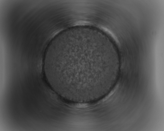 X0000093131313200710031345