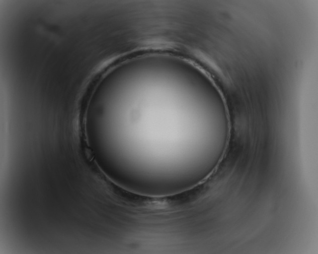 X0000093131315200710031345