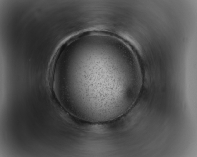 X0000093131316200710031345
