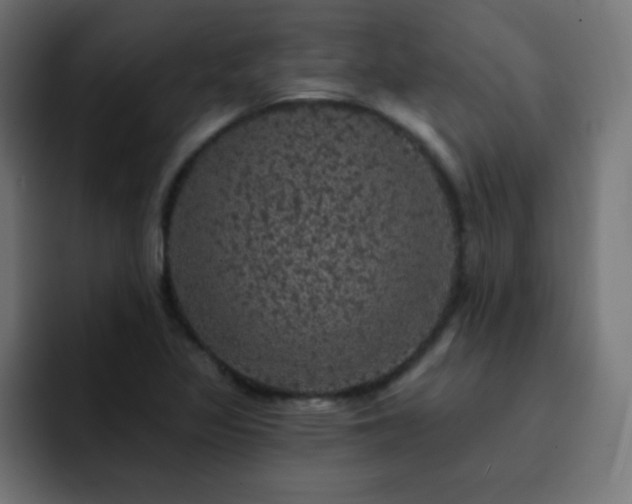 X0000093131317200710031345