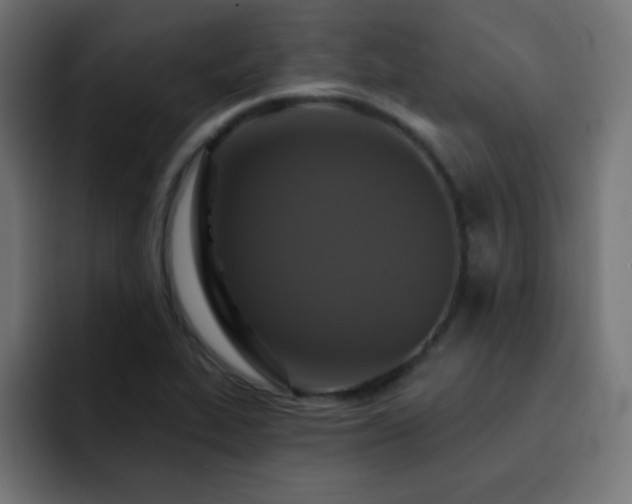 X0000093131319200710031345