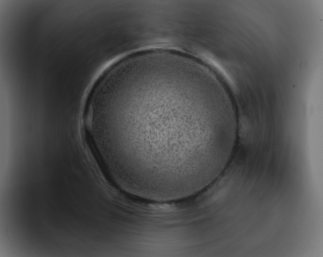 X0000093131320200710031345
