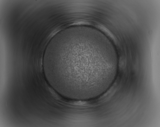 X0000093131321200710031345