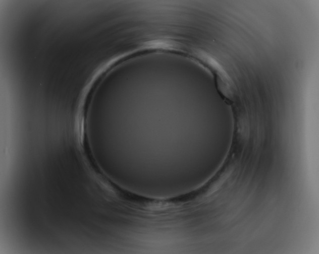 X0000093131323200710031345