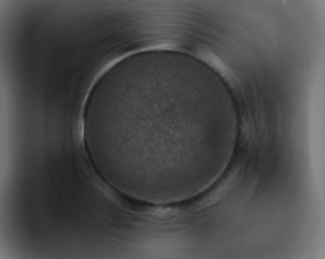 X0000093131324200710031345