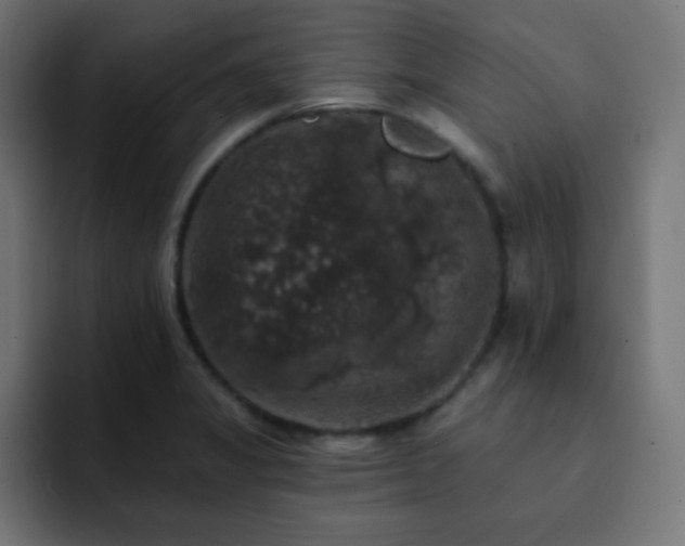 X0000093131325200710031345