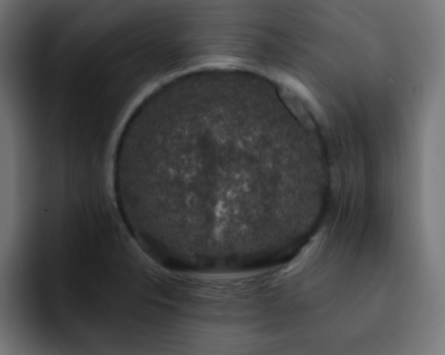 X0000093131326200710031345