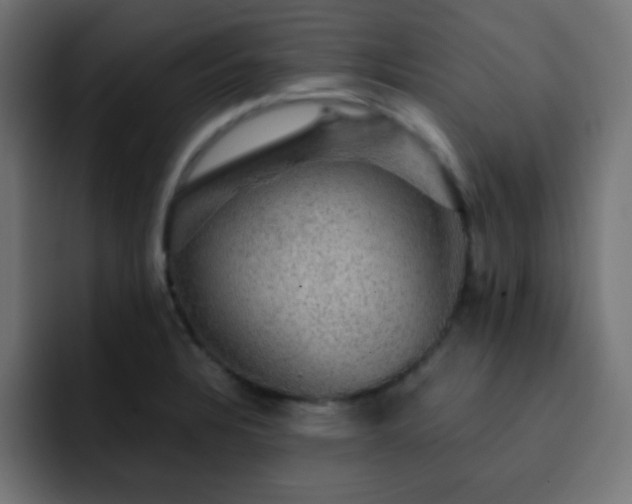 X0000093131328200710031345