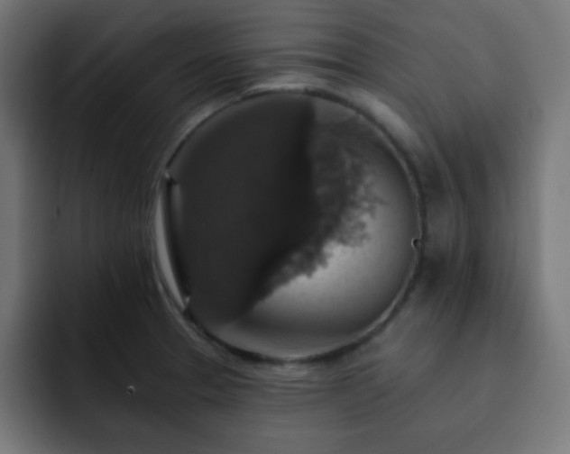 X0000093131329200710031345