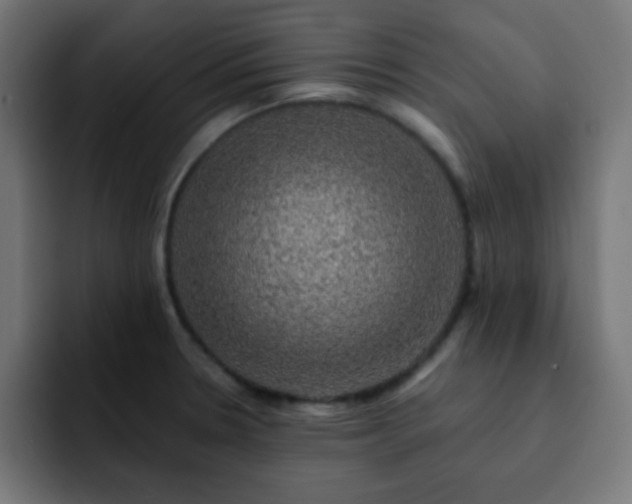 X0000093131330200710031345