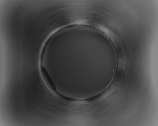 X0000093131331200710031345