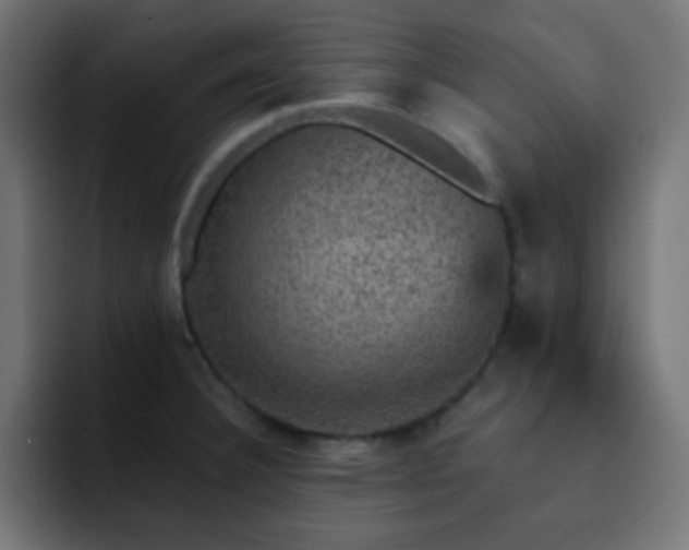 X0000093131332200710031345