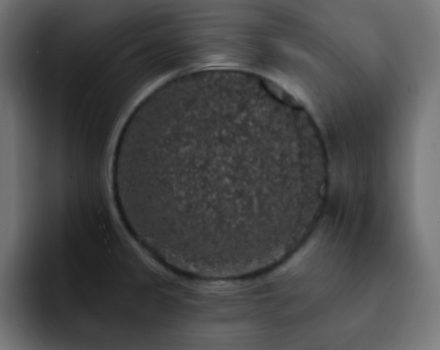 X0000093131333200710031345