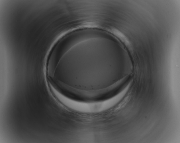 X0000093131334200710031345