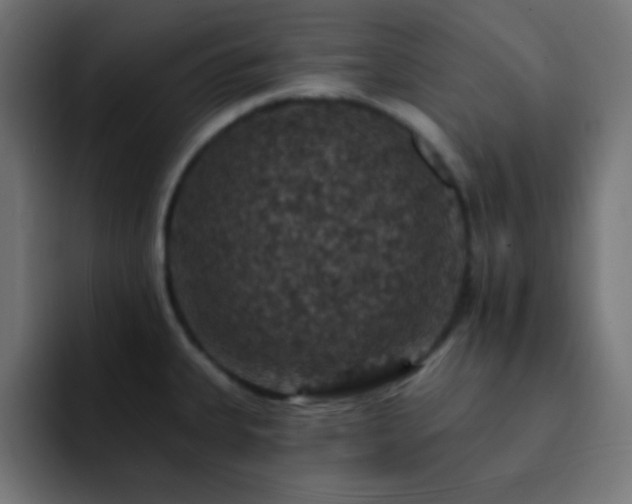 X0000093131335200710031345