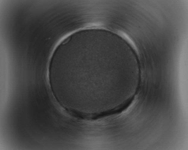 X0000093131336200710031345