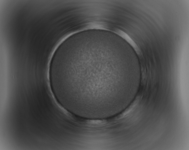 X0000093131339200710031345