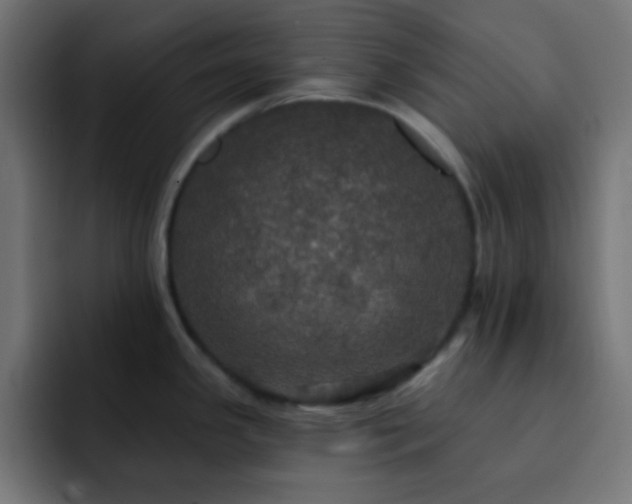 X0000093131341200710031345